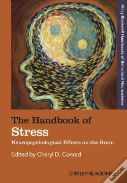 Capa do artigo Handbook Of Stress