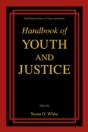 Handbook Of Youth And Justice - Preview