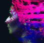 Hand.Cannot.Erase - Vinil - Preview