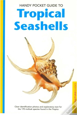 Capa do artigo Handy Pocket Guide To Tropical Seashells