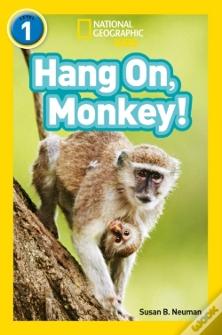 Capa do artigo Hang On, Monkey!