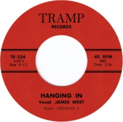 Capa do artigo Hanging In - Vinil
