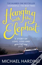 Capa do artigo Hanging With The Elephant