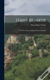 Capa do artigo Hans Brinker