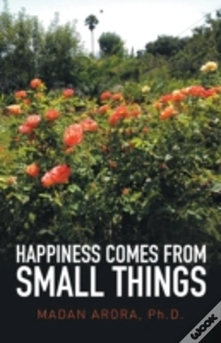 Capa do artigo Happiness Comes From Small Things