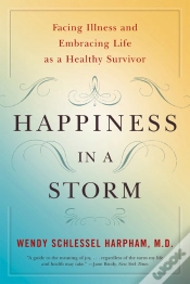 Capa do artigo Happiness In A Storm