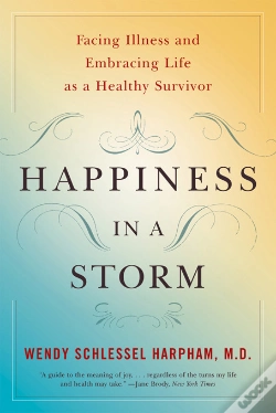 Capa do artigo Happiness In A Storm