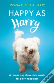 Capa do artigo Happy As Harry