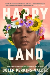 Capa do artigo Happy Land
