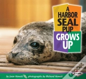 Harbor Seal Pup Grows Up