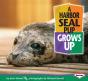 Harbor Seal Pup Grows Up - Preview