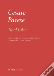 Capa do artigo Hard Labor