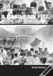 Capa do artigo Hard Rain Fell