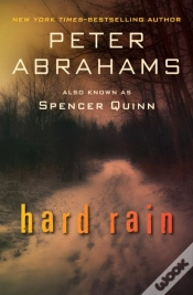 Capa do artigo Hard Rain
