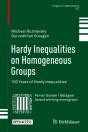 Hardy Inequalities On Homogeneous Groups - Preview