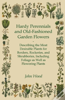 Capa do artigo Hardy Perennials And Old-Fashioned Garde