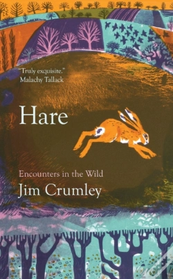 Capa do artigo Hare