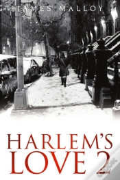 Capa do artigo Harlem