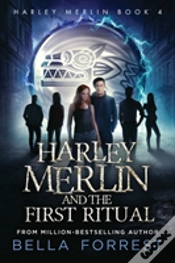Capa do artigo Harley Merlin 4