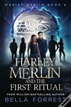 Capa do artigo Harley Merlin 4