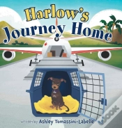 Capa do artigo Harlow