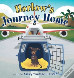 Capa do artigo Harlow'S Journey Home