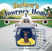 Capa do artigo Harlow