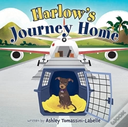 Capa do artigo Harlow'S Journey Home