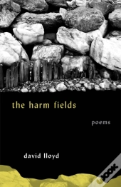 Harm Fields