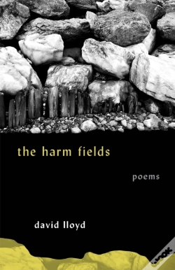 Capa do artigo Harm Fields