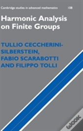 Harmonic Analysis On Finite Groups