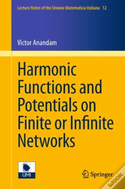 Capa do artigo Harmonic Functions And Potentials On Finite Or Infinite Networks