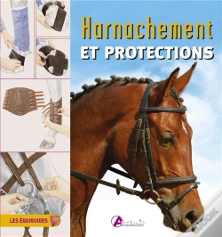 Capa do artigo Harnachement Et Protections