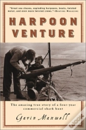 Capa do artigo Harpoon Adventure