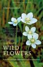 Harrapâ€™S Wild Flowers - Preview