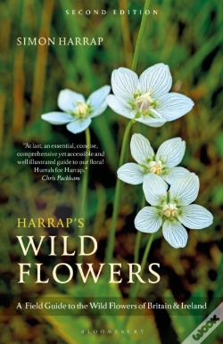 Capa do artigo Harrapâ€™S Wild Flowers