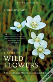 Capa do artigo Harrapâ€™S Wild Flowers
