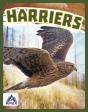 Harriers - Preview