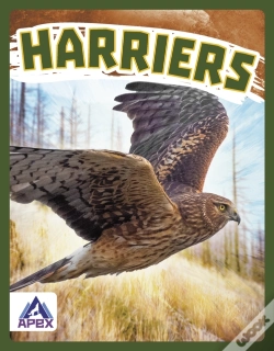 Capa do artigo Harriers
