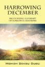 Harrowing December: Recounting A Journey - Preview