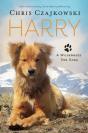 Harry - Preview