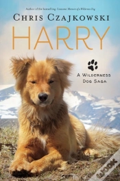 Capa do artigo Harry