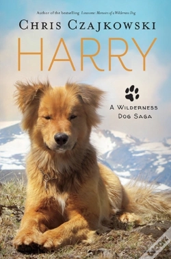 Capa do artigo Harry