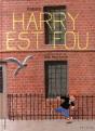 Harry Est Fou - Preview