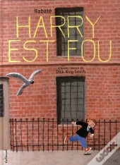 Harry Est Fou