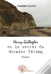 Harry Gallagher Et Le Secret Du Dernier Viking