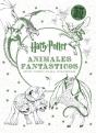 Harry Potter Animales Fantasticos Mini Libro Para Colorear  - Preview