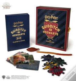 Capa do artigo Harry Potter Quidditch At Hogwarts