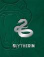 Harry Potter: Slytherin - Preview