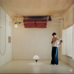 Capa do artigo Harry’s House - Vinil